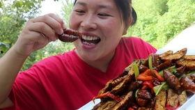 跟着胖妹有瓜吃,尽享生活乐趣