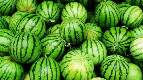 淮职吃瓜,揭秘“吃瓜”背后的故事