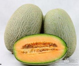 冬菇吃哈密瓜,营养美味的新奇搭配