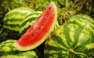 小宗吃瓜,揭秘娱乐圈那些不为人知的幕后故事