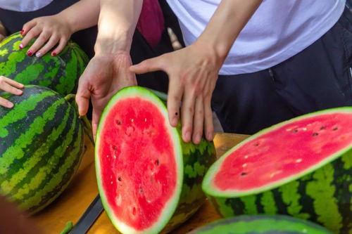 大学课堂里吃瓜,一场别开生面的知识盛宴