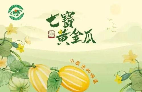 吃瓜号图文,揭秘吃瓜号图文背后的真相与趣味