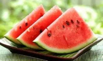 吃瓜跳舞学校,揭秘吃瓜跳舞学校的魅力之旅