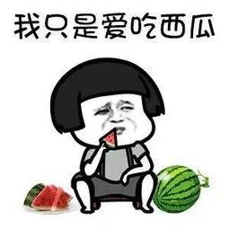 吃瓜使你们快乐图文,揭秘网络图文的快乐源泉